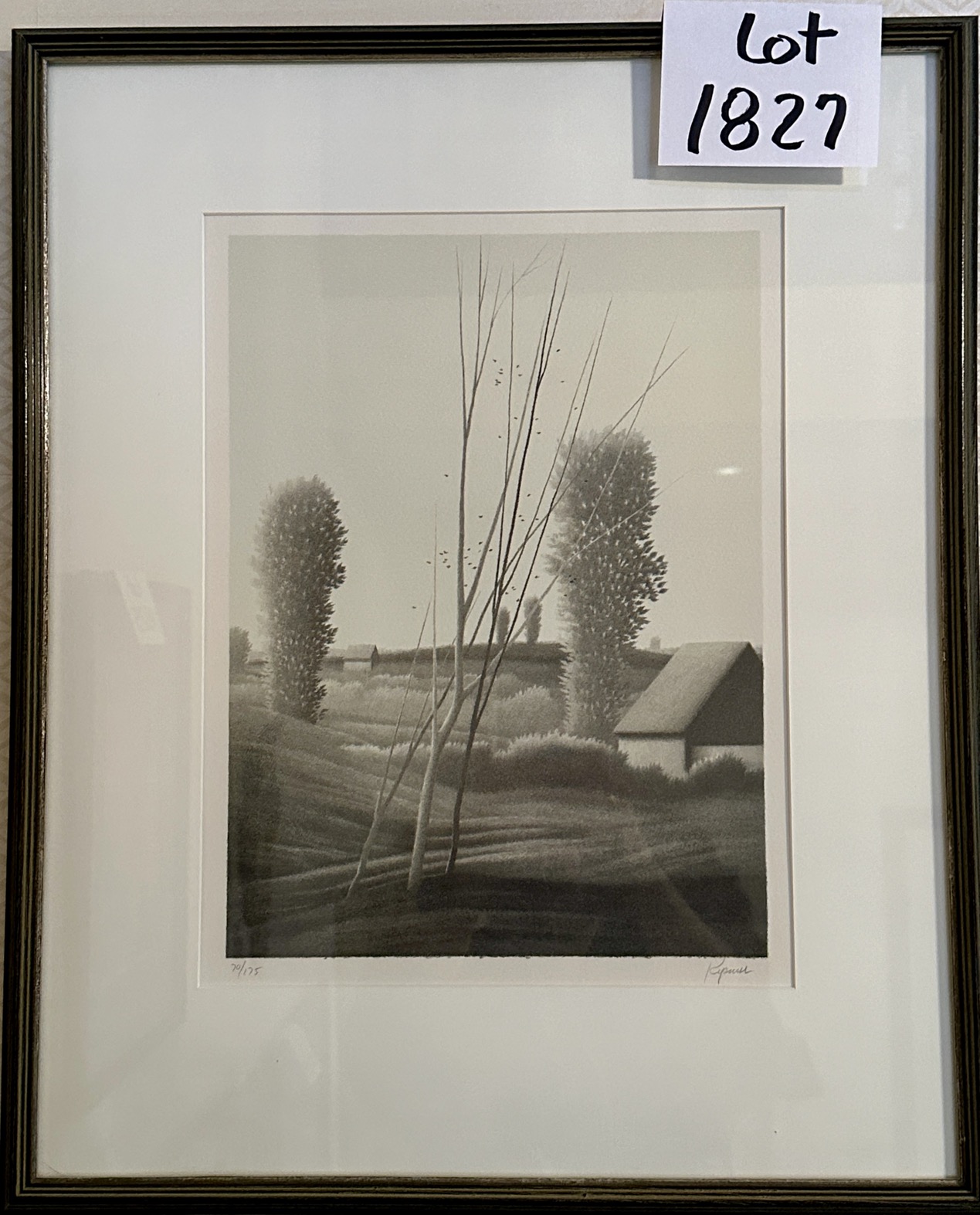 Naperville Traders | Naperville Traders Estate Sales